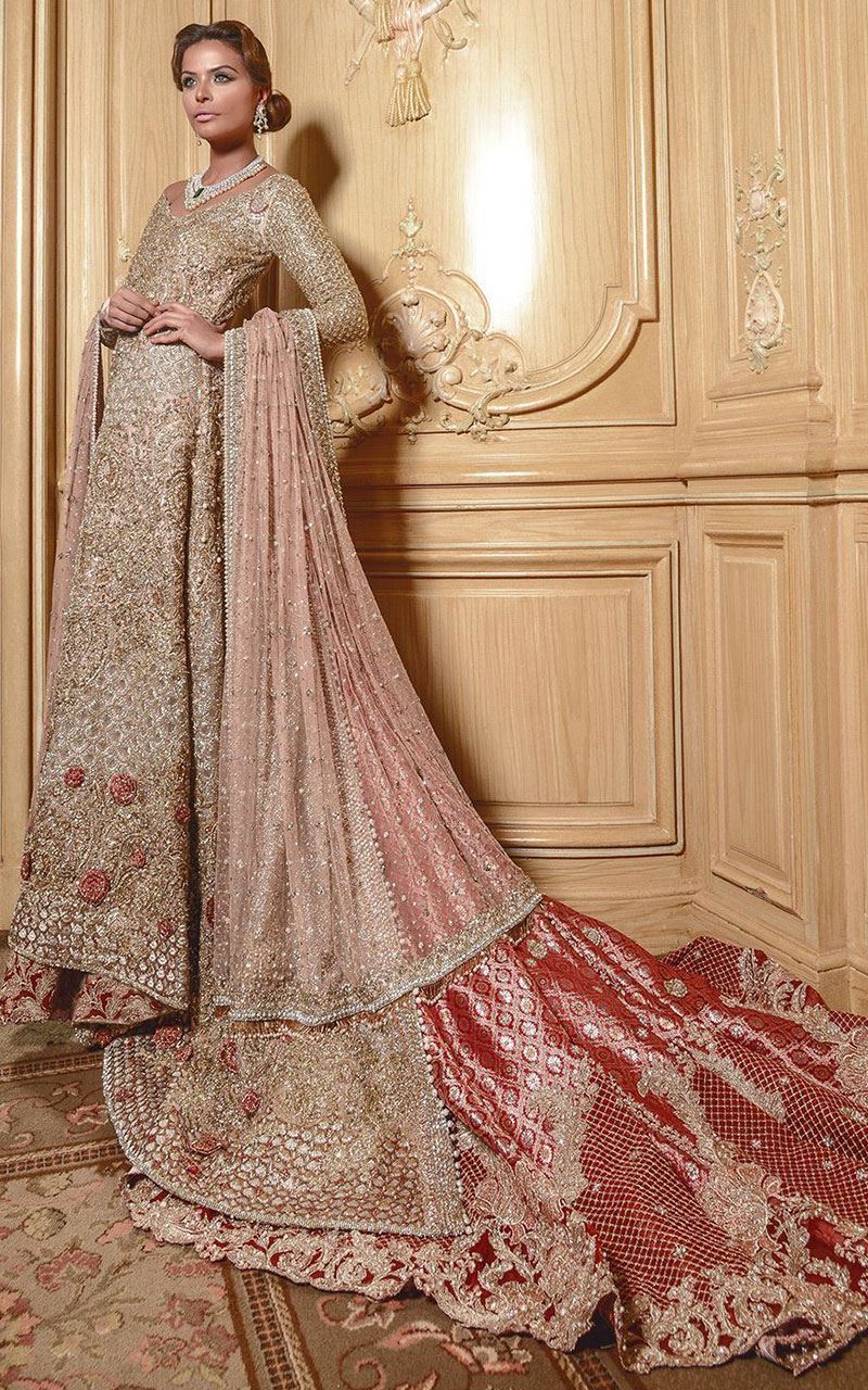 Picture of Viceroy aw  1