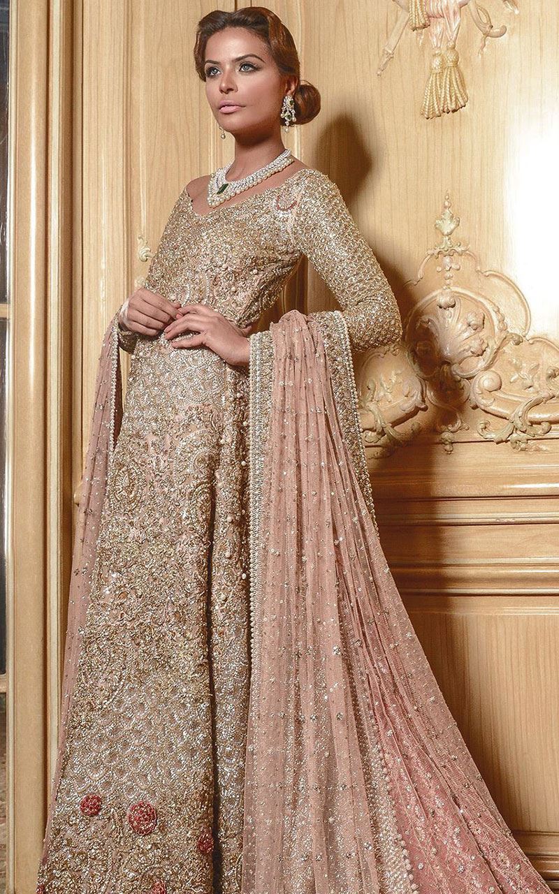 Picture of Viceroy aw  1